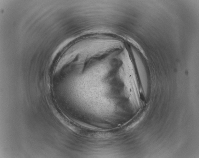 X0000076300981200610271910