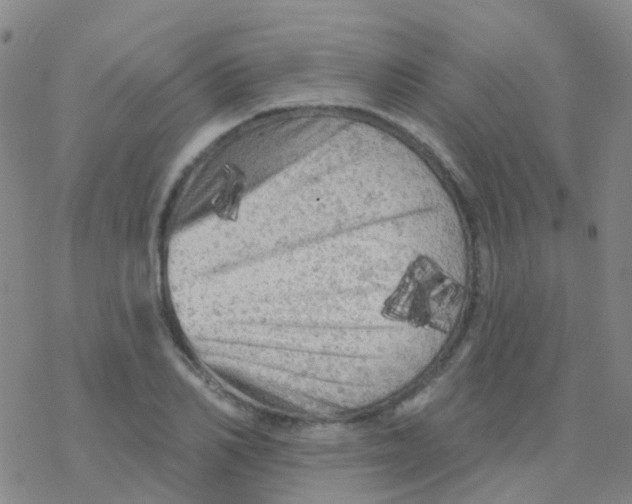 X0000076300982200610271910