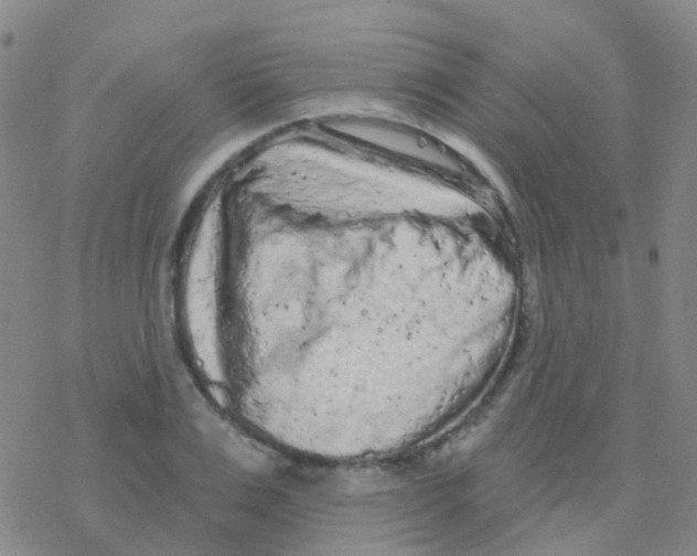 X0000076300983200610271910