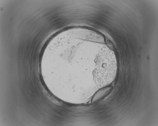 X0000076300984200610271910