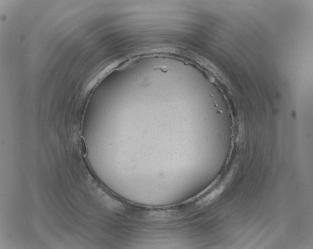 X0000076300985200610271910