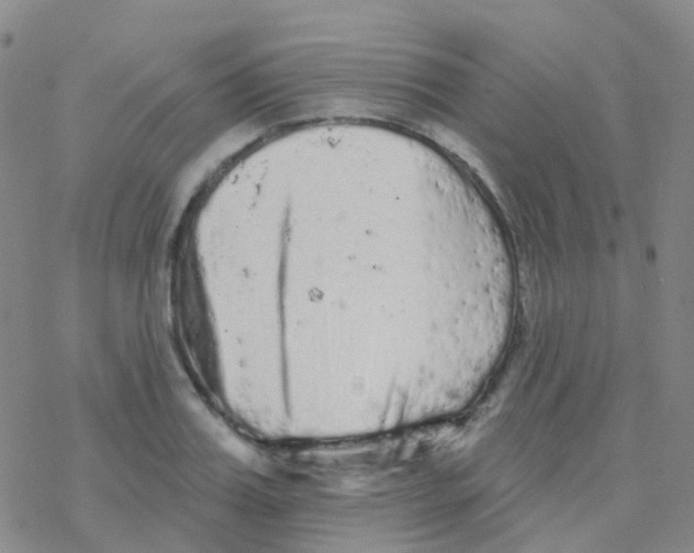 X0000076300987200610271910