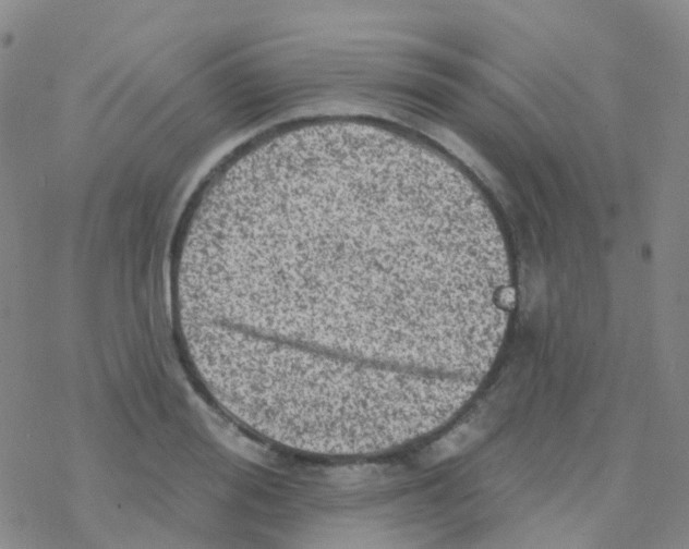 X0000076300988200610271910