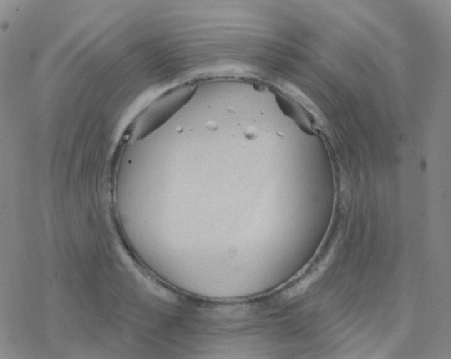 X0000076300989200610271910