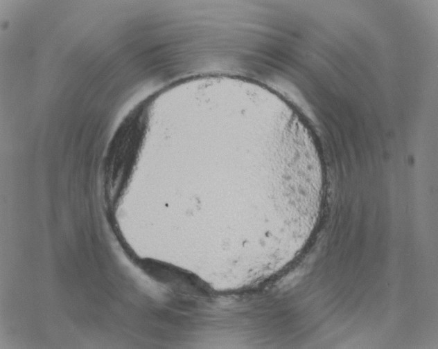 X0000076300991200610271910