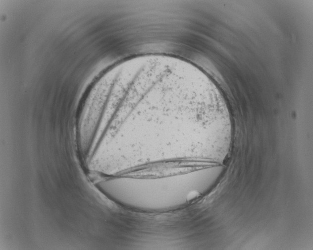 X0000076300992200610271910