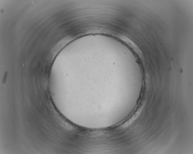 X0000076300993200610271910