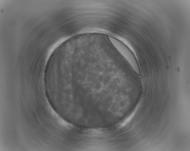 X0000076300995200610271910