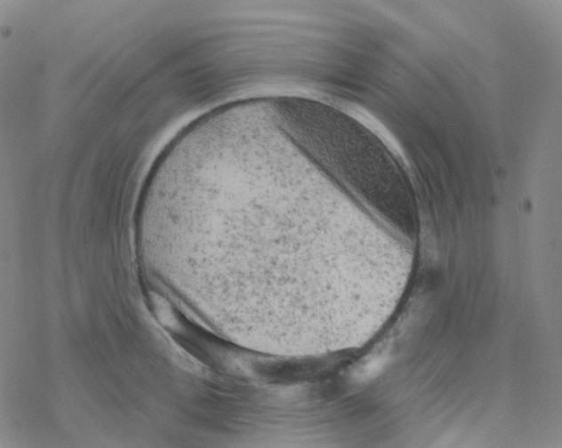 X0000076300996200610271910