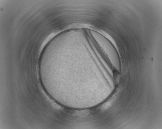 X0000076300997200610271909