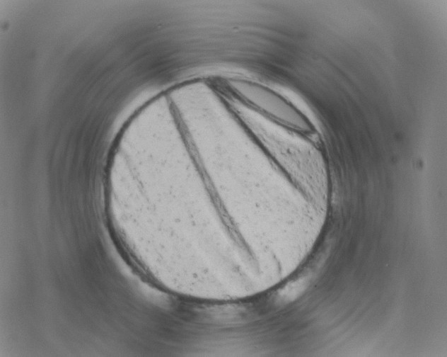 X0000076300999200610271909