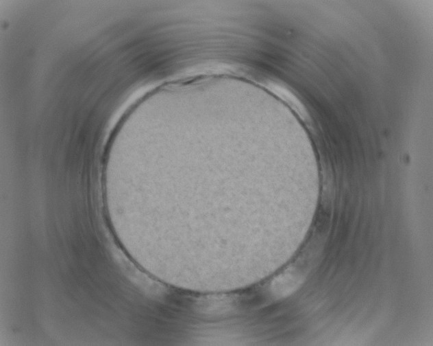 X0000076301000200610271909