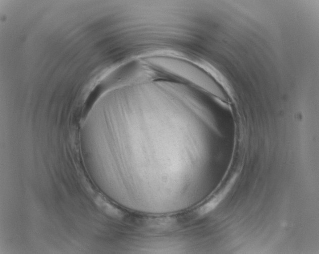 X0000076301001200610271909