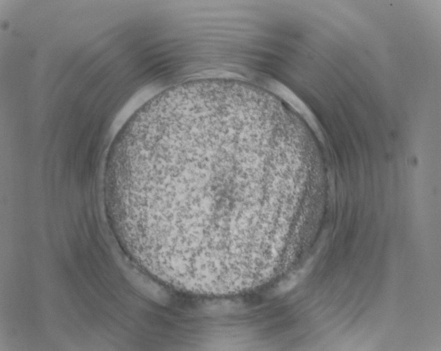 X0000076301002200610271909