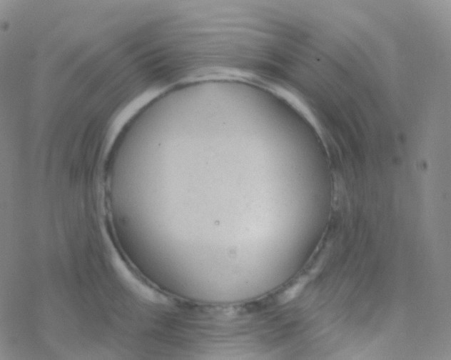 X0000076301003200610271909