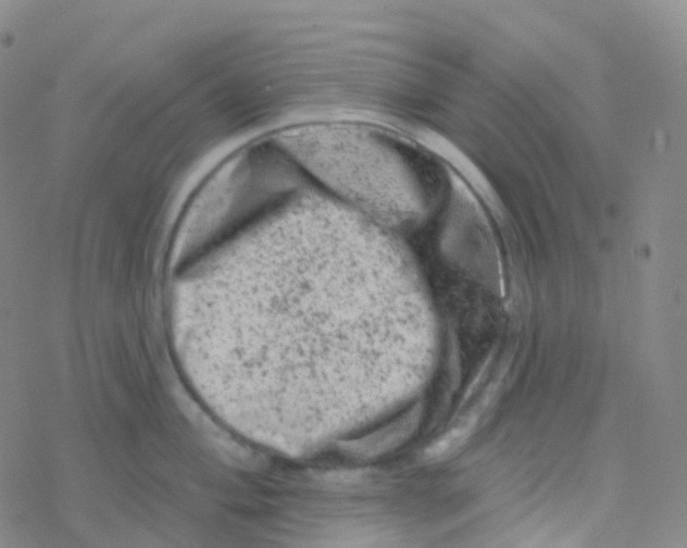 X0000076301004200610271909