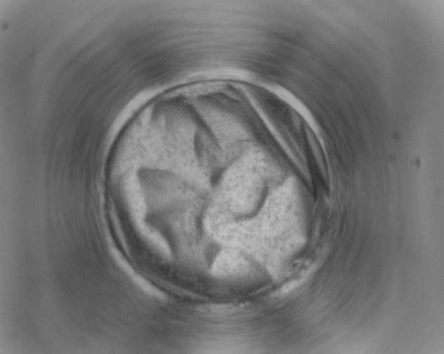 X0000076301005200610271909