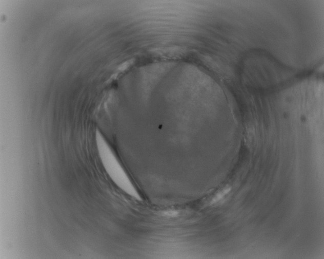 X0000076301010200610271908