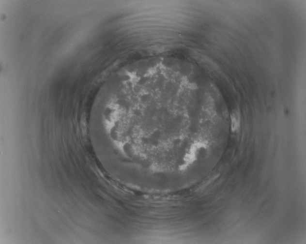 X0000076301011200610271908