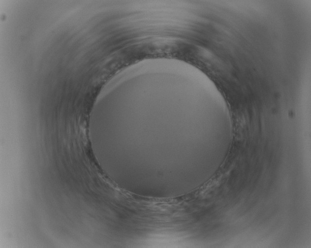 X0000076301013200610271908