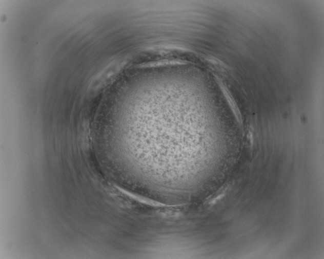 X0000076301014200610271909