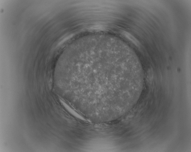 X0000076301015200610271909