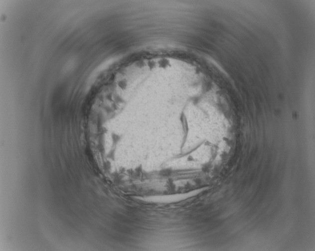 X0000076301016200610271909