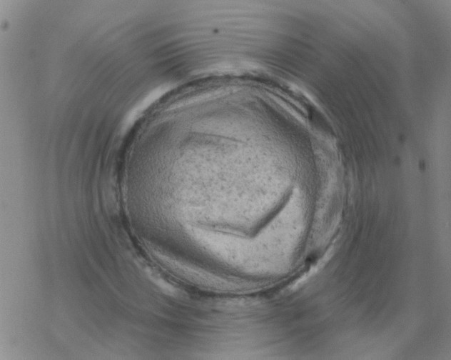 X0000076301018200610271909