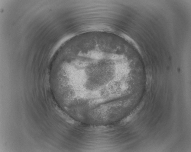 X0000076301019200610271909