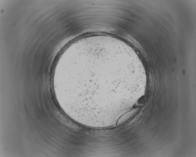 X0000076301020200610271909