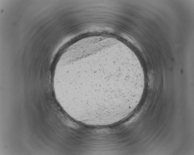 X0000076301021200610271909