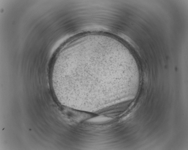 X0000076301022200610271909