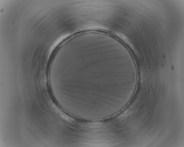 X0000076301024200610271909