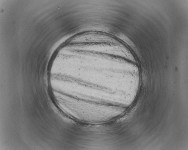 X0000076301028200610271909