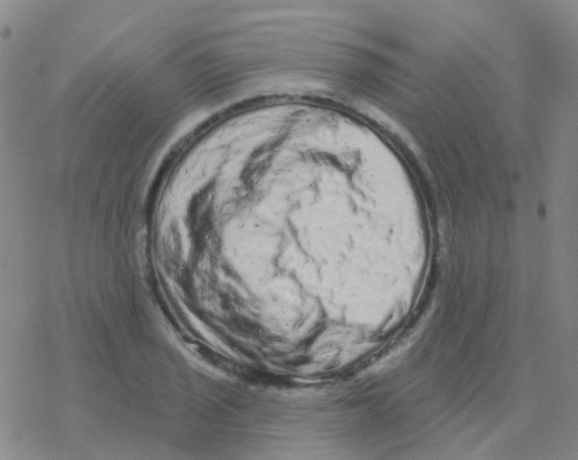 X0000076301029200610271909