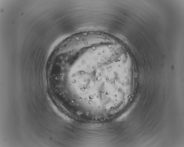 X0000076301030200610271909