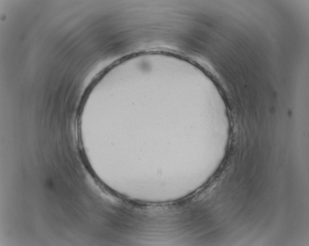 X0000076301032200610271909