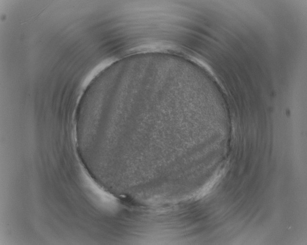 X0000076301034200610271909