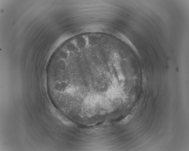 X0000076301035200610271909