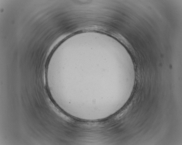 X0000076301036200610271909