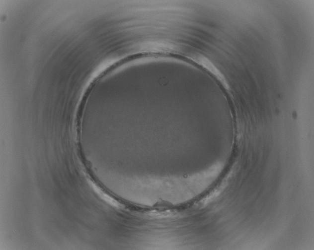 X0000076301037200610271909