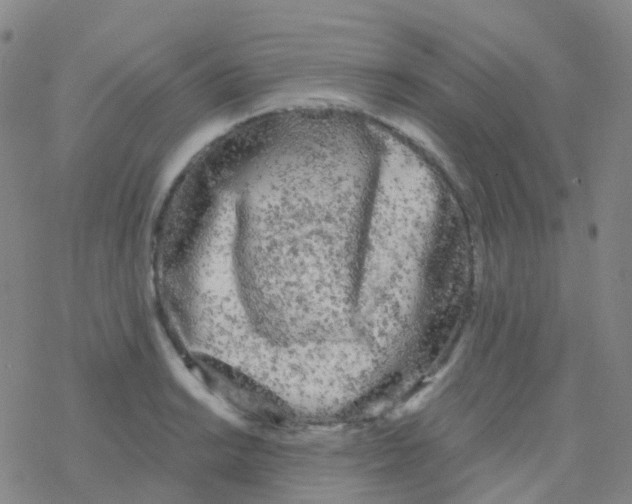 X0000076301038200610271909