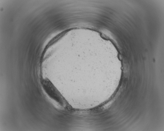 X0000076301040200610271909