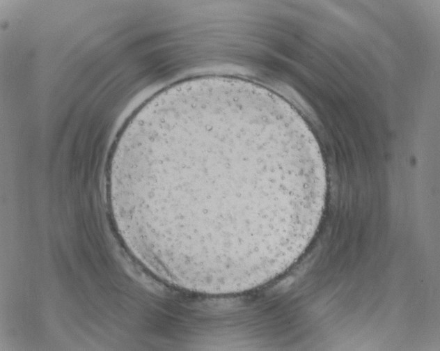 X0000076301044200610271909