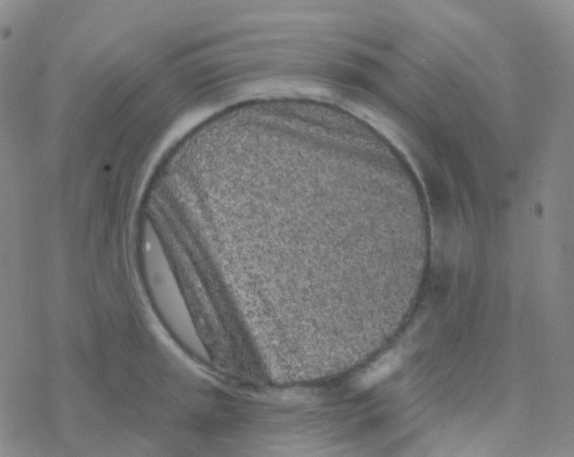 X0000076301045200610271909