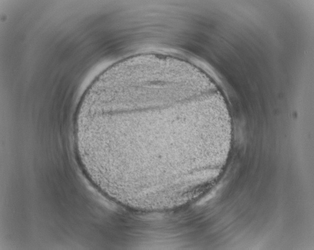 X0000076301048200610271909