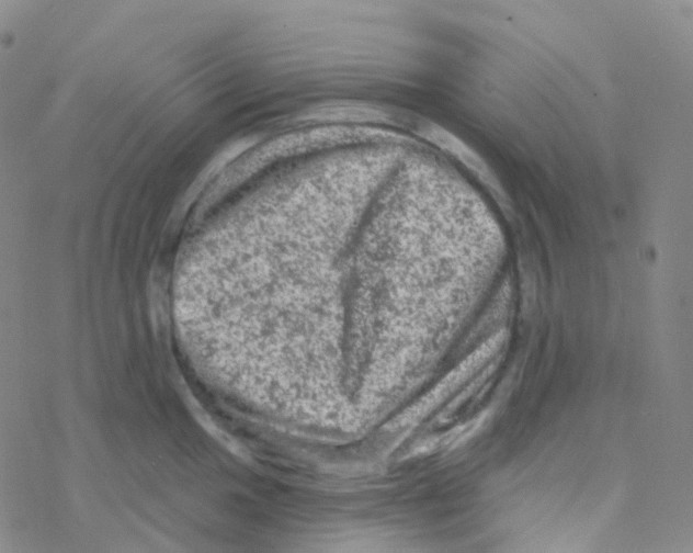 X0000076301049200610271909