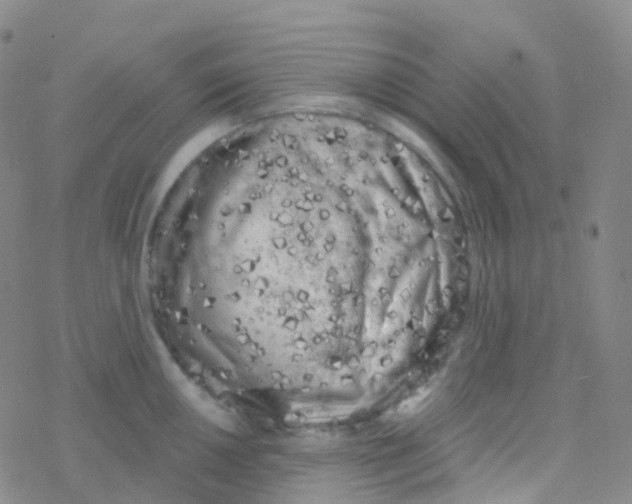 X0000076301050200610271909