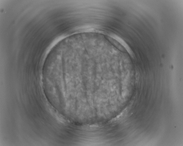 X0000076301051200610271909