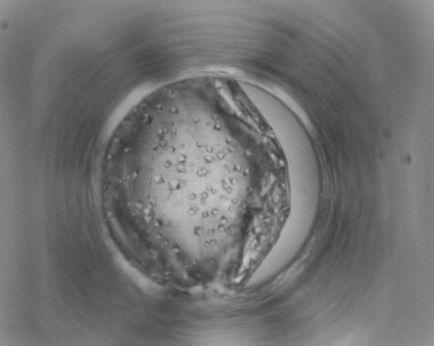 X0000076301054200610271909